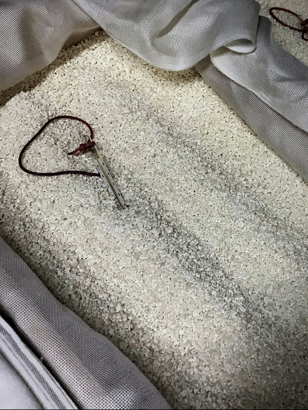 麹づくりの工程。布をかけて広げられた米と、差し込まれた温度計